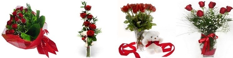 BAYBURT �i�ek G�nder